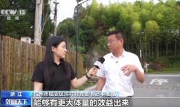 网友爆料桂林村书记视频,揭秘权力背后的真相